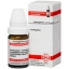 АГНУС КАСТУС D6 глобули 10 g AGNUS CASTUS