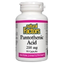 Пантотенова киселина 250 mg 90 капс. Natural factors Pantothenic Acid