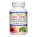 АНТИ ВИРАЛ 128 mg 60 софтгел капс. ECHINAMIDE  Anti-Viral Potent Fresh Herbal Extract