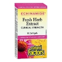 Ехинацея Екстракт 250 mg 90 софтгел капc.  Natural Factors ECHINAMIDE Fresh Herb Extract