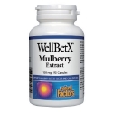 БЯЛА ЧЕРНИЦА, 100 mg 90 kaпс. Natural Factors WellBetX® Mulberry Extract