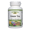 Зелен чай 300 mg 60 капс. HerbalFactors® Green Tea