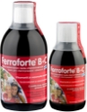 ФЕРОФОРТЕ® В+С 250 ml Ferroforte ® B + C liquid iron preparation
