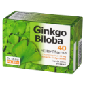 Гинко билоба 40 mg 60 капс. Ginkgo Biloba  Capsules