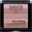 БИО ХАЙЛАЙТЪР ЗА ЛИЦЕ ТЕЛЕСЕН 7 g SANTE Beautifying Highlighter   01 Nude 