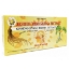 ЖЕН ШЕН С ГИНКО БИЛОБА 10 ml флакони x 10 Ginkgo Biloba and Red Panax Ginseng Extract