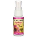 Спрей за гърло с ехинацея и прополис 30 ml Natural Factors ECHINAMIDE® Throat Spray Formula with Propolis
