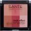 Био минерален руж с мултиефект SANTE Multi-Effect Mineral Blush 02 Cranberry